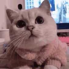 กิตติ ธนสุข avatar